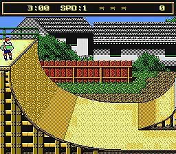 Skate or Die 2: The Search for Double Trouble