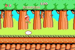 Adventure Island