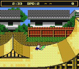 Skate or Die 2: The Search for Double Trouble