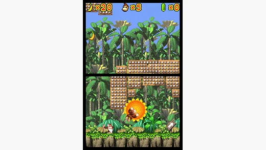 DK Jungle Climber