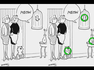 Heathcliff! Frantic Foto