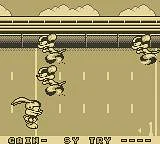 Tiny Toon Adventures: Wacky Sports Challenge