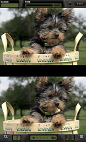 Foto Frenzy: Spot the Difference