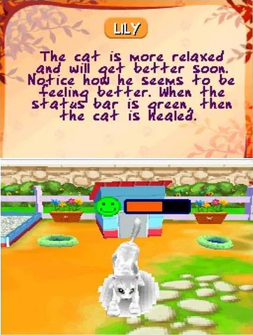 Imagine: Animal Doctor