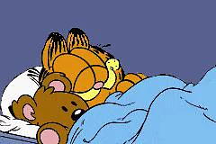 Garfield: The Search for Pooky