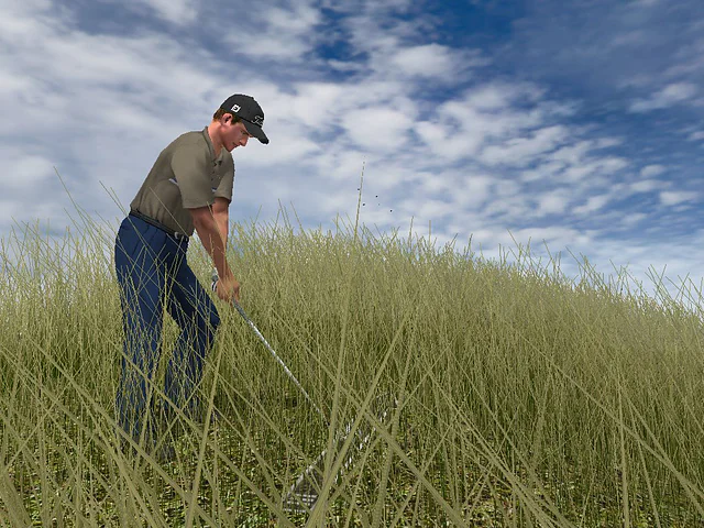 Tiger Woods PGA Tour 2004