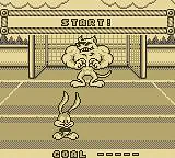 Tiny Toon Adventures: Wacky Sports Challenge