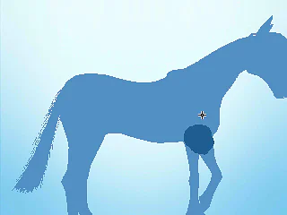 My Riding Stables 3D: Jumping for the Team