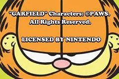 Garfield and His Nine Lives