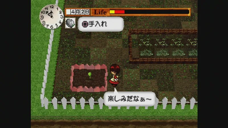 My Garden