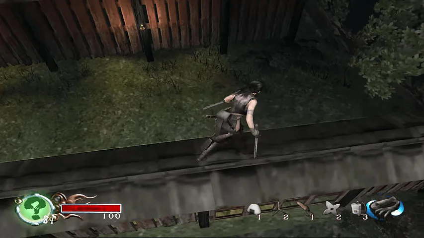 Tenchu: Fatal Shadows