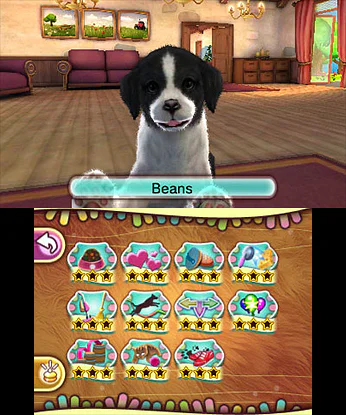 Pet Inn 3D