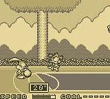 Tiny Toon Adventures: Wacky Sports Challenge
