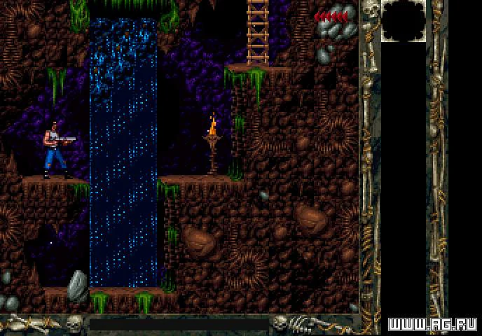 Blackthorne