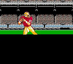 Tecmo Super Bowl