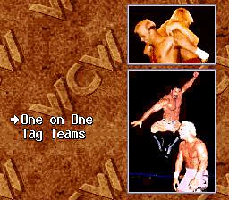 WCW SuperBrawl Wrestling