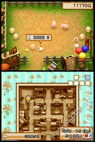 Harvest Moon DS: Grand Bazaar