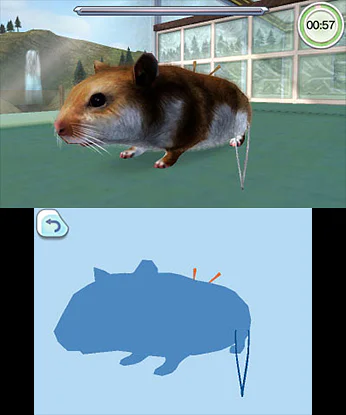 Pet Hospital