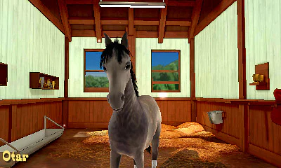 My Riding Stables 3D: Jumping for the Team