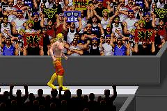 WWE Road to WrestleMania X8