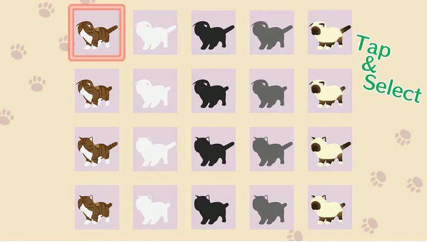 Aabs Animals