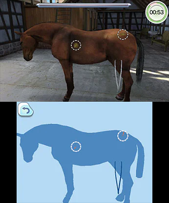 Pet Hospital