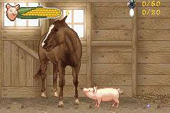 Charlotte's Web
