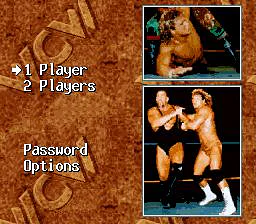 WCW SuperBrawl Wrestling