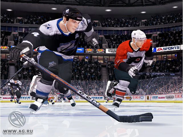 NHL 06