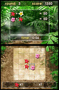 Zenses Rainforest