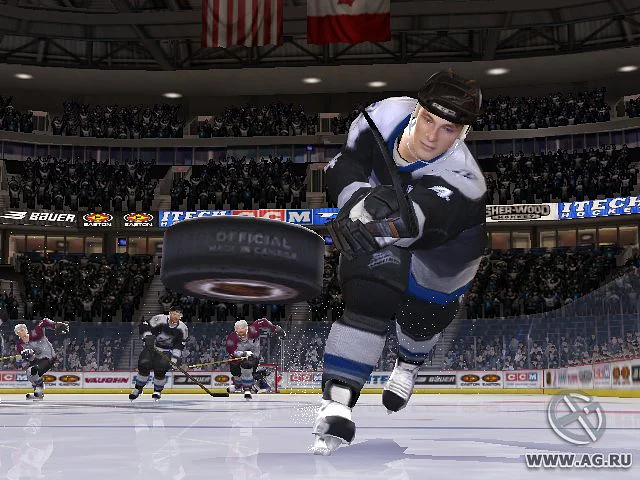 NHL 06