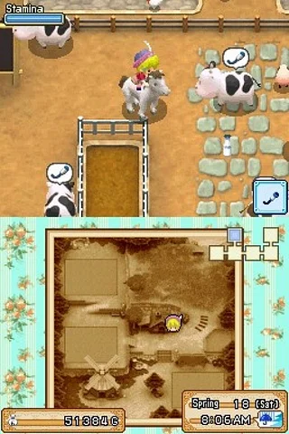Harvest Moon DS: Grand Bazaar