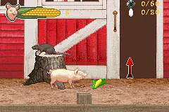 Charlotte's Web