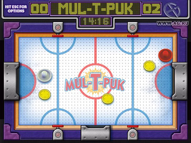 Backyard Hockey