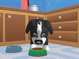 Dora & Kai-Lan's Pet Shelter