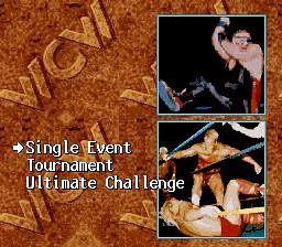 WCW SuperBrawl Wrestling