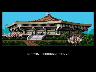 Budokan: The Martial Spirit