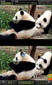 Foto Frenzy: Spot the Difference