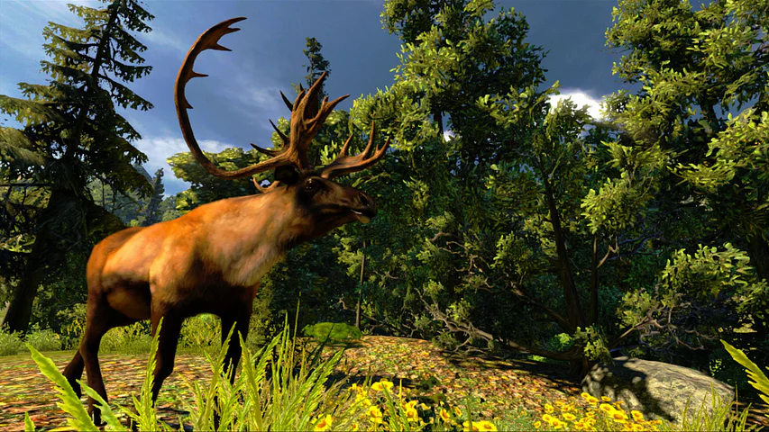 Cabela's Hunting Expeditions