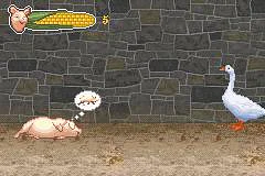 Charlotte's Web