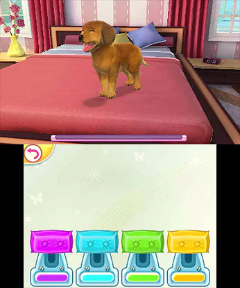 My Pets